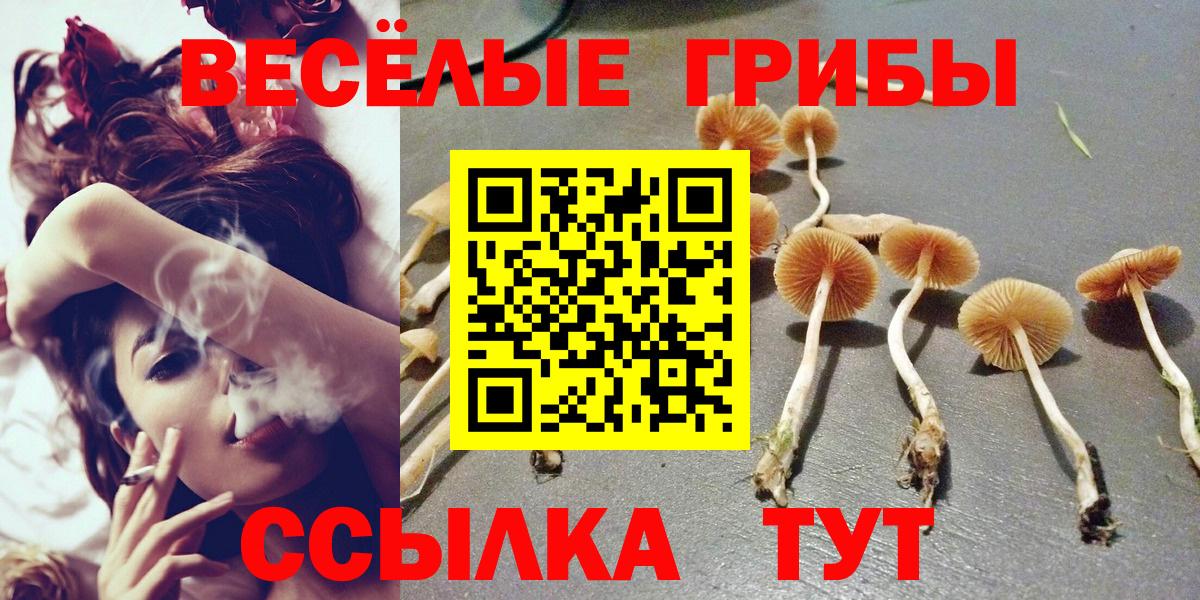 Галлюциногенные грибы мухоморы  Вход с VPN  Шелехов  Псилоцибиновые грибы мицелий 