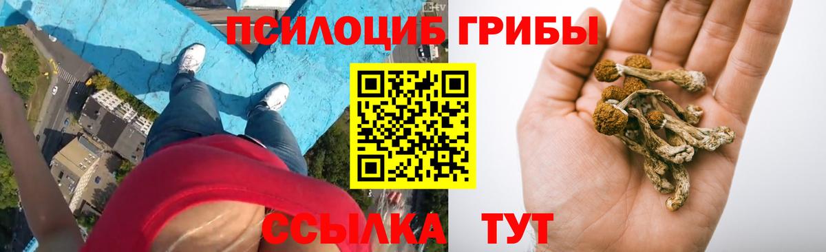 Псилоцибиновые грибы Magic Shrooms Шелехов